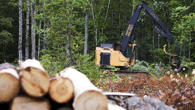 Ormancılık ve Orman Ürünleri